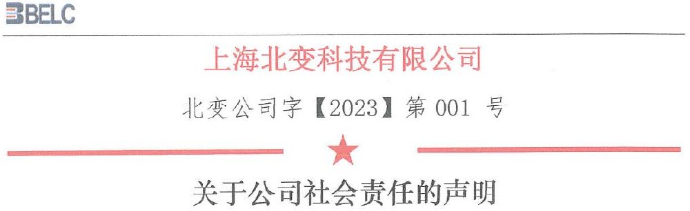 关于公司社会责任的声明
